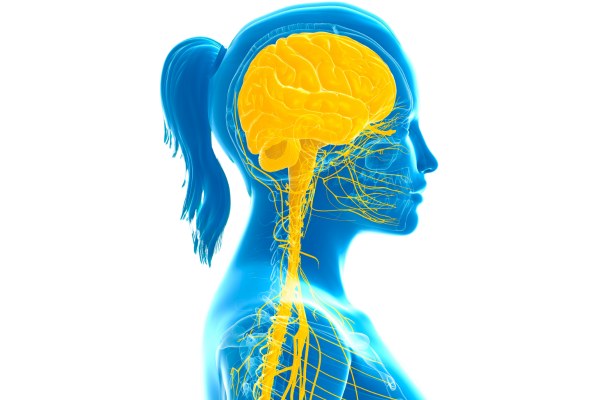 Central Nervous System Effects